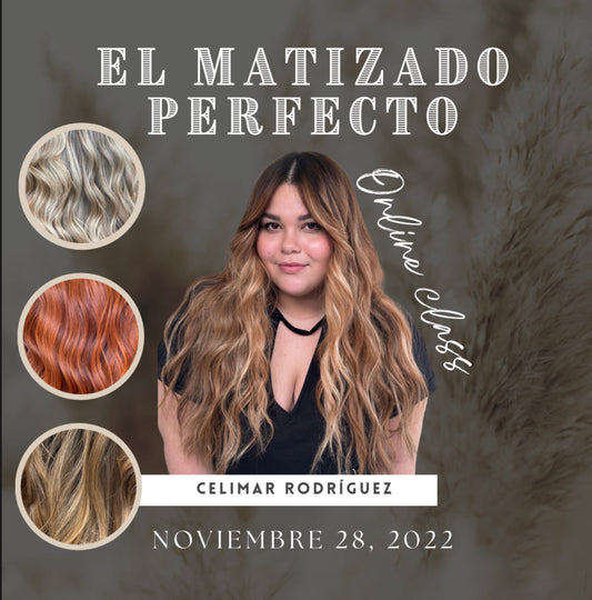 El Matizado Perfecto / CLASE ONLINE GRABADA