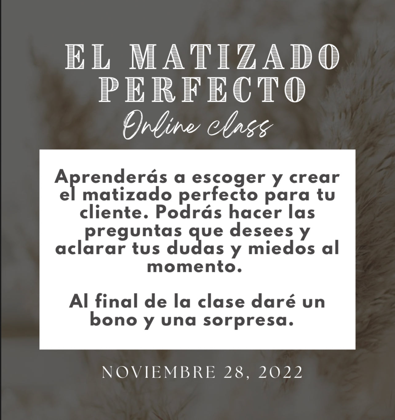 El Matizado Perfecto / CLASE ONLINE GRABADA