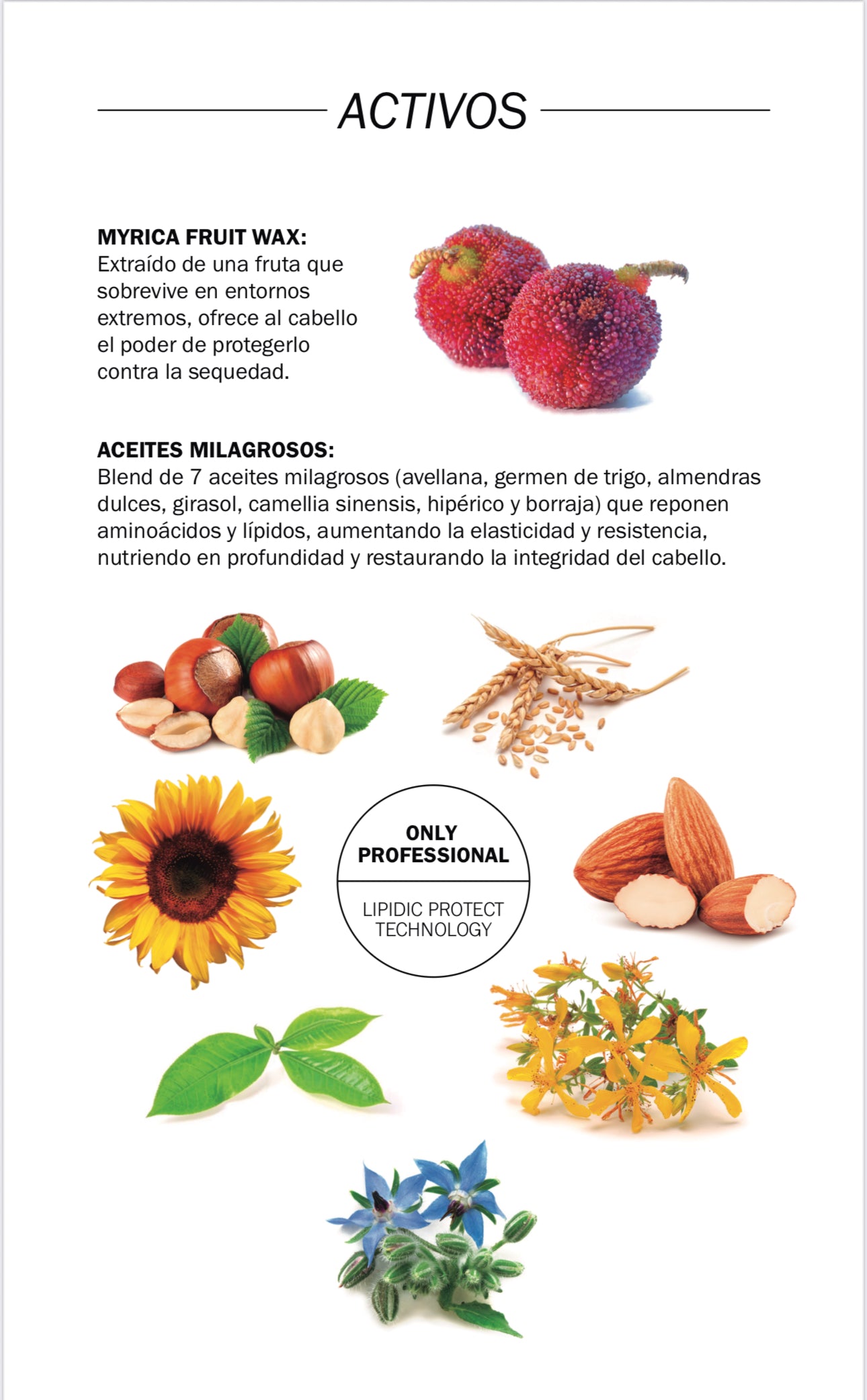 Nutri Infusion Hair Oil - TRUSS