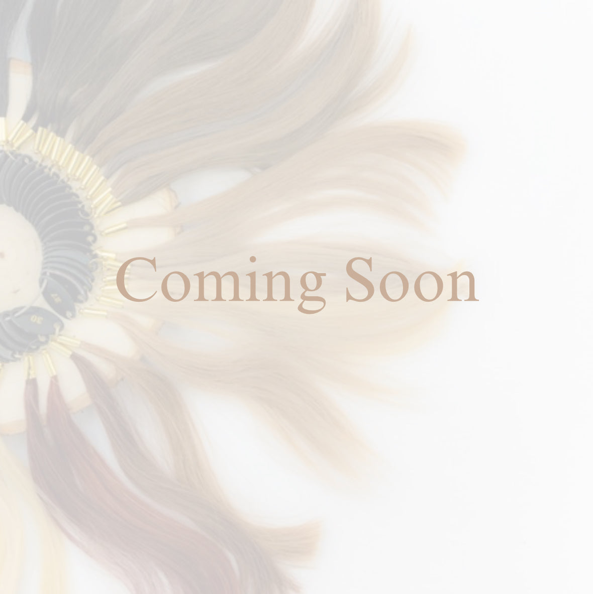 Edena Hair Extensions