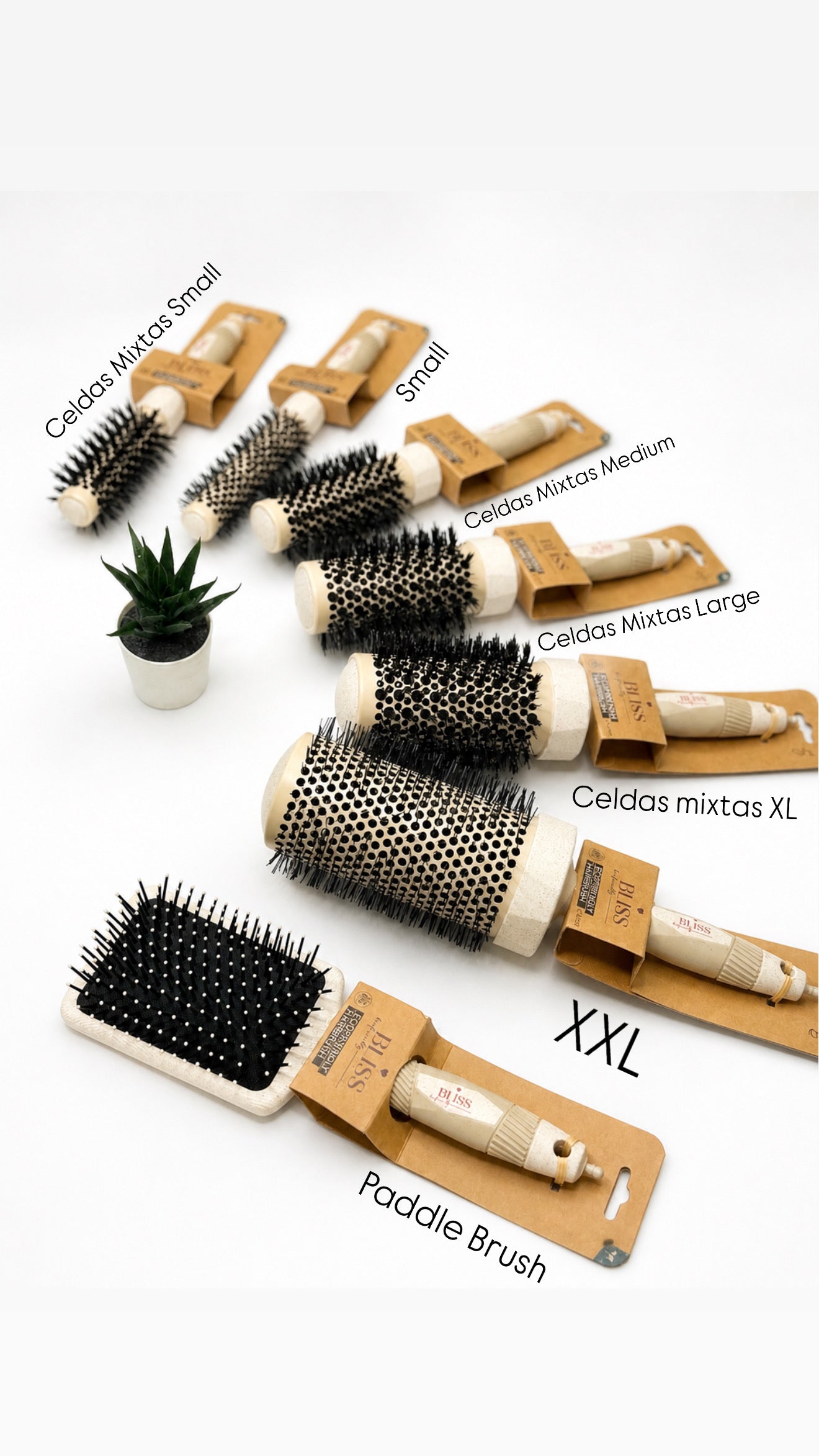 Beige Brushes Collection